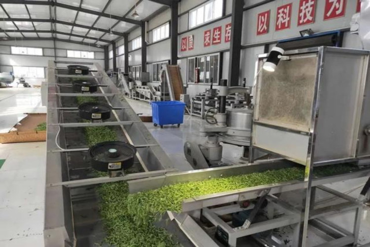 Estructura de acero prefabricada para planta de procesamiento de té